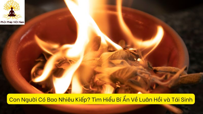 Con Người Có Bao Nhiêu Kiếp? Tìm Hiểu Bí Ẩn Về Luân Hồi và Tái Sinh