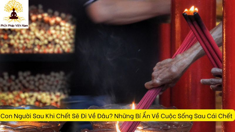 Con Người Sau Khi Chết Sẽ Đi Về Đâu? Những Bí Ẩn Về Cuộc Sống Sau Cái Chết