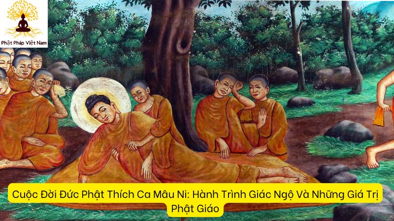 Cuộc Đời Đức Phật Thích Ca Mâu Ni: Hành Trình Giác Ngộ Và Những Giá Trị Phật Giáo